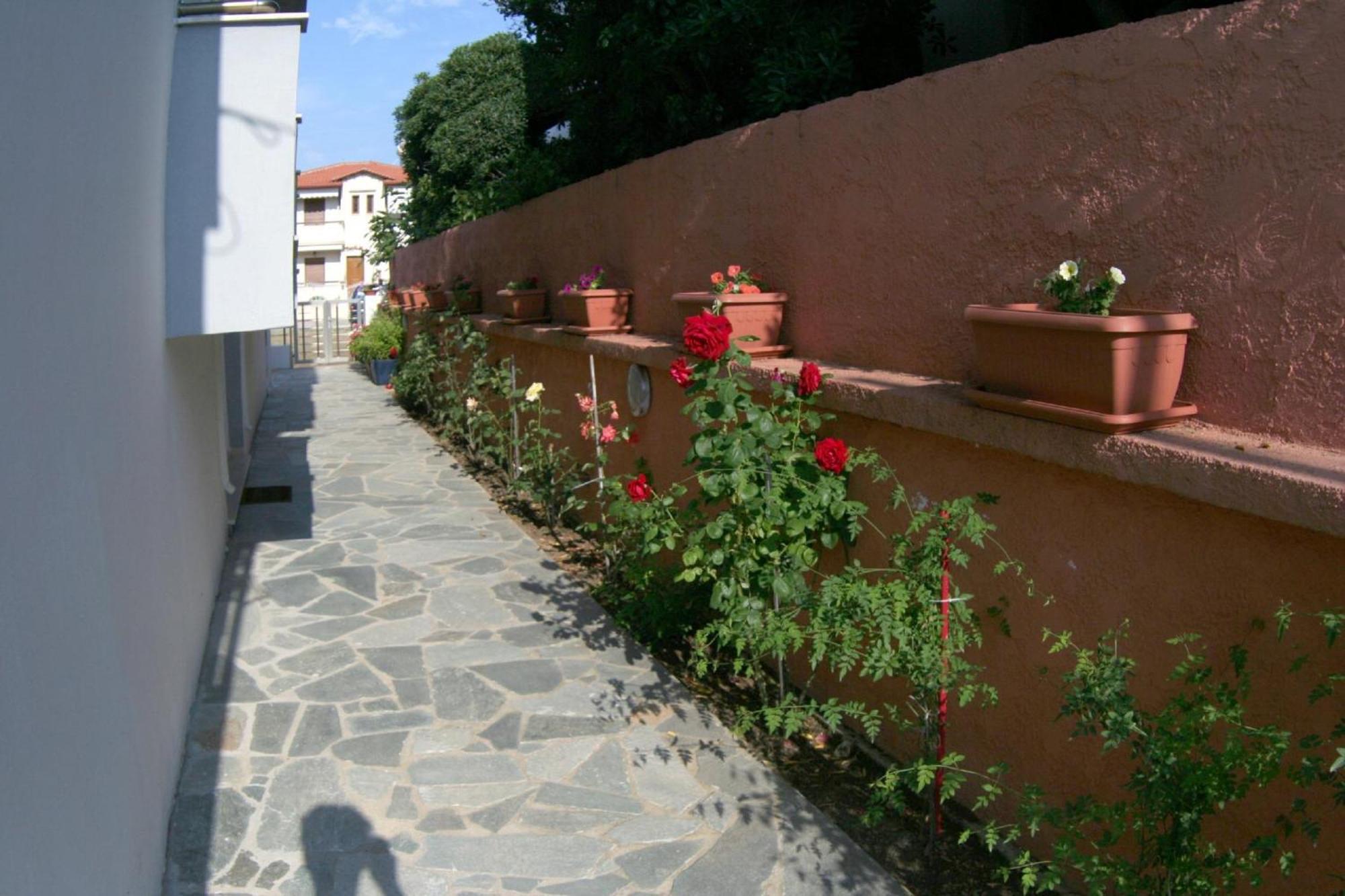 Mare D'Oro Apartment Sarti Exterior photo